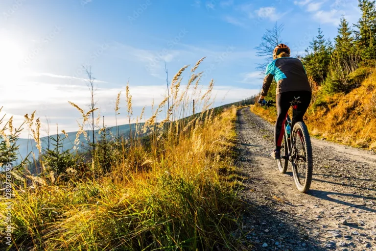 mountain biking woman riding on bike in summer mountains forest landscape woman cycling mtb flow trail track outdoor sport activity